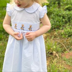 3T Easter Peter Rabbit dress Southern Sunshine